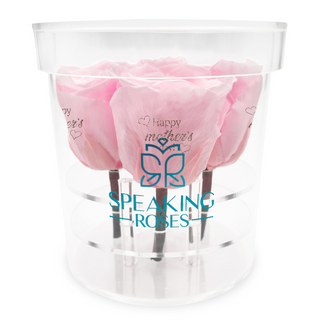 Acrisse Quo - Happy Mother's Day