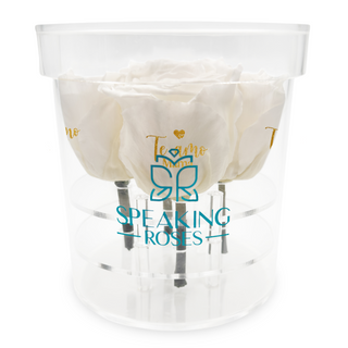 Acrisse Quo - Te Amo Mama