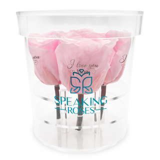 Acrisse Quo -  I Love You (Heart) Mom (Heart) Success