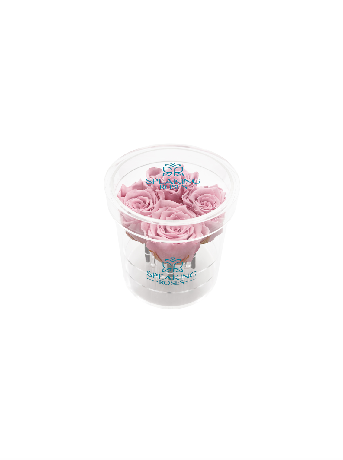 Round Acrylic Box (4 Preserved Stems)