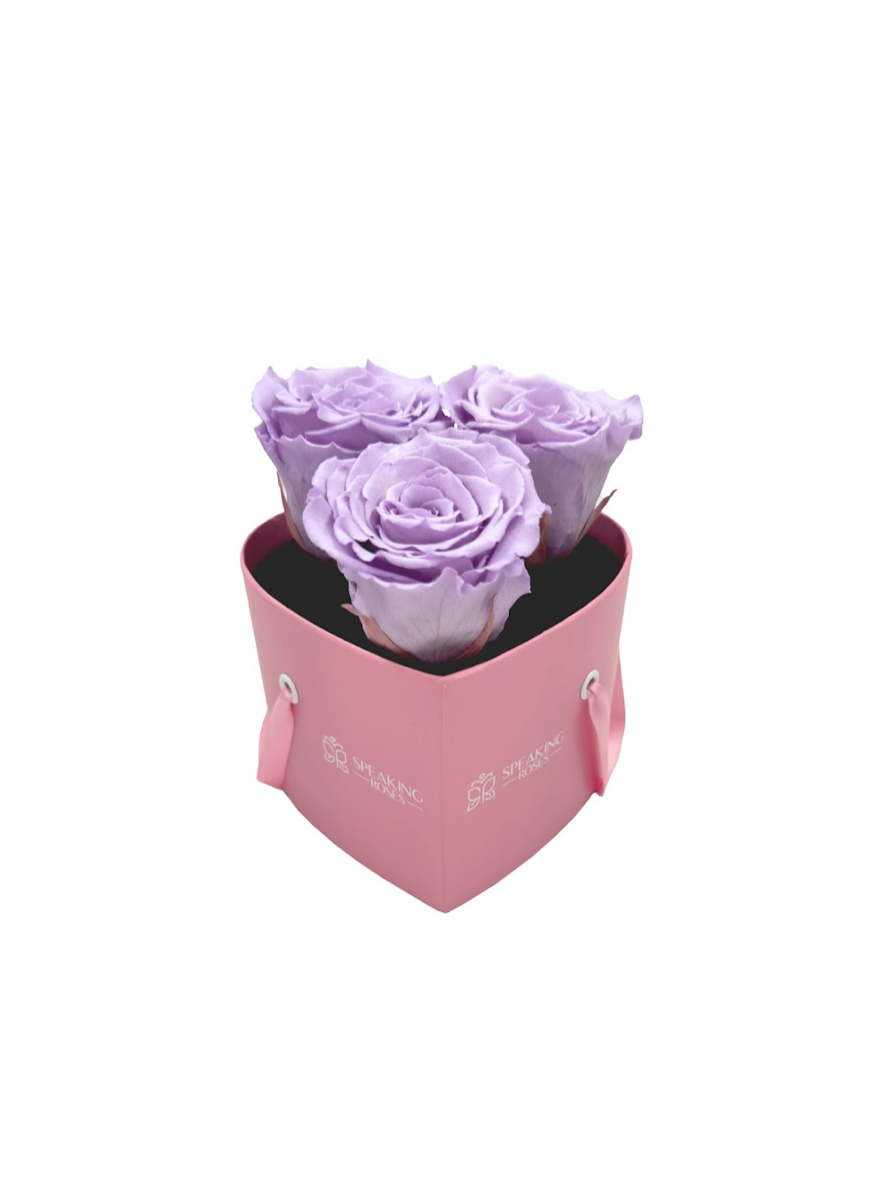 Heart Paper Box (3 Preserved Heads)
