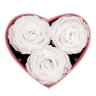 Amoura HS - Cupid Clipart