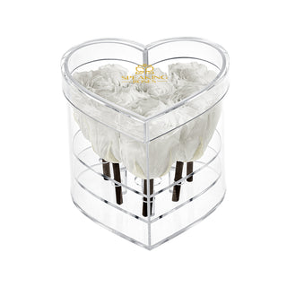 Lumira HZ - Wedding Collection