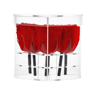 Lumira HZ - Happy Birthday Collection