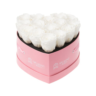 Amoura HM - Anniversary Collection