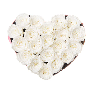 Amoura ML - Romance Collection