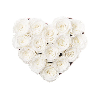 Amoura HM - Happy Birthday Collection