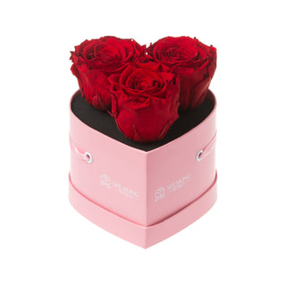 Amoura HS - Heart Collection