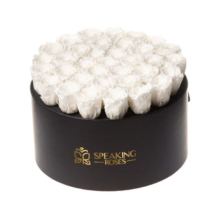 Domora Bloom  - Anniversary Collection