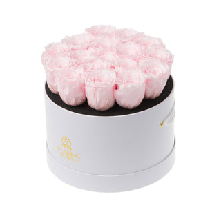 Magnaro Bloom - Happy Birthday Collection