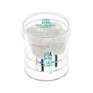 Acrisse Quo - Funeral Collection