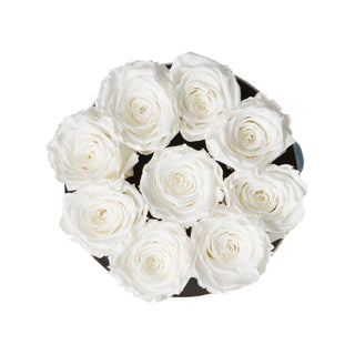 Orvini Bloom - Happy Birthday Collection