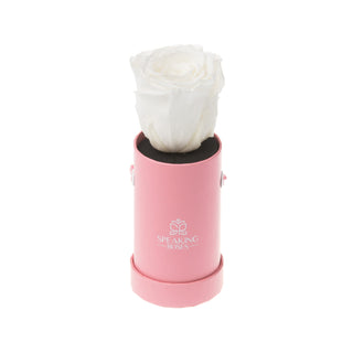 Solo Bloom - Happy Birthday Collection