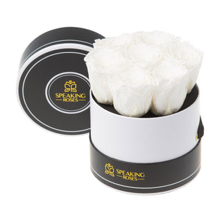 Noir Bloom - Happy Birthday Collection