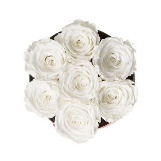 Blush Bloom - Wedding Collection
