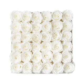 Sovelle MLO  - Romance Collection