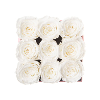 Sovelle OOS  - Happy Birthday Collection