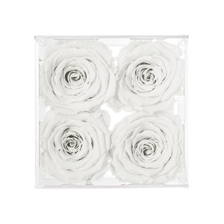 Equoria V04 - Wedding Collection