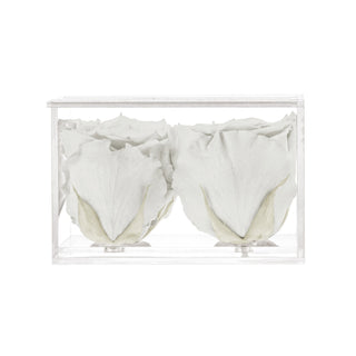 Equoria V04 - Wedding Collection