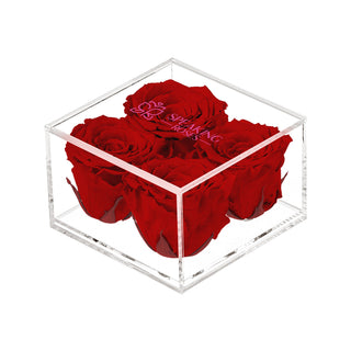 Equoria V04 - Wedding Collection
