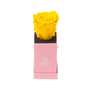 Sovelle XXS  - Happy Birthday Collection