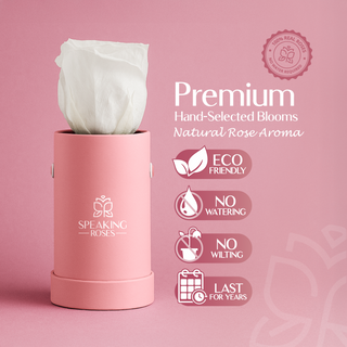 Solo Bloom - Romance Collection