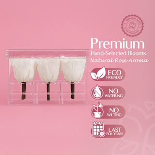 Luxara Nue - Valentine's Day Collection