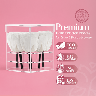 Lumira HZ - Romance Collection