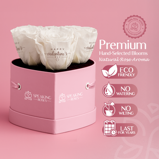 Amoura HS - Happy Valentine's Day - Valentine's Day Collection