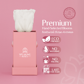 Sovelle XXS  - Valentine's Day Collection