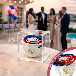 Equoria - America 250 Design- Personalized Rose - 100% Real (Preserved-Eternal)