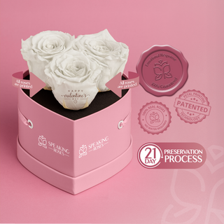 Amoura HS - Happy Valentine's Day - Valentine's Day Collection