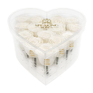 Lumira HO - World's BEST MOM