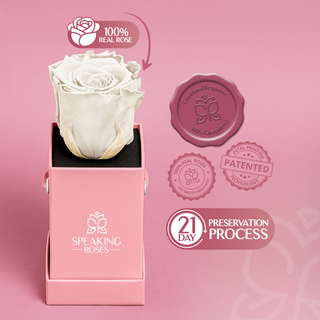 Sovelle XXS  - Valentine's Day Collection