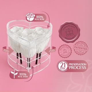 Lumira HZ - Romance Collection