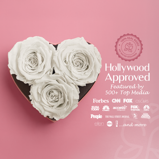 Amoura HS - Happy Valentine's Day - Valentine's Day Collection