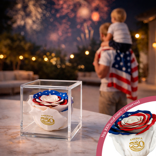Equoria - America 250 Design- Personalized Rose - 100% Real (Preserved-Eternal)