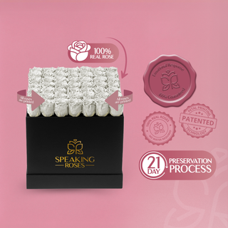 Sovelle LLO - Romance Collection