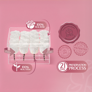 Luxara Man - Valentine's Day Collection