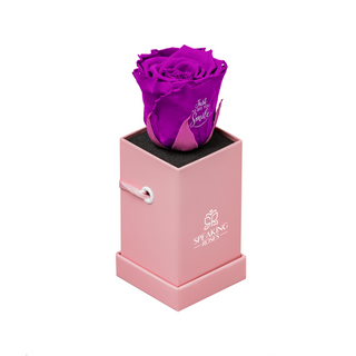 Sovelle XXS – Just To see you Smile - Personalized Rose - 100% Real (Preserved-Eternal)