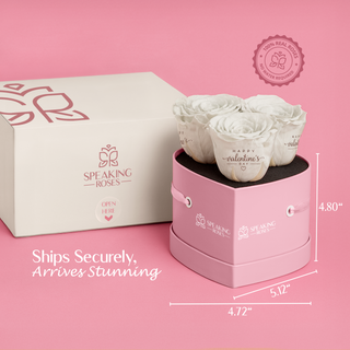 Amoura HS - Happy Valentine's Day - Valentine's Day Collection