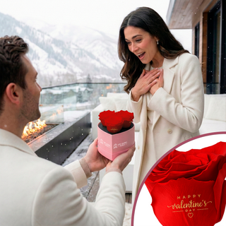 Amoura HS - Happy Valentine's Day - Valentine's Day Collection