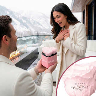 Amoura HS - Happy Valentine's Day - Valentine's Day Collection