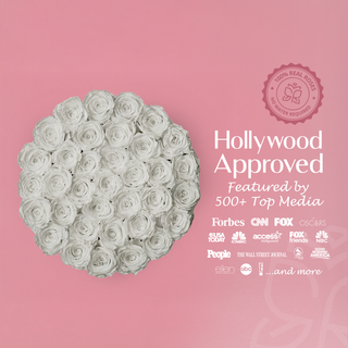 Domora Bloom - Romance Collection