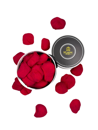 Spec Black Paper Box (100 Preserved Petals)