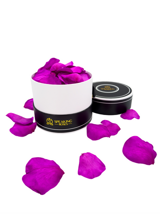 Spec Black Paper Box (100 Preserved Petals)