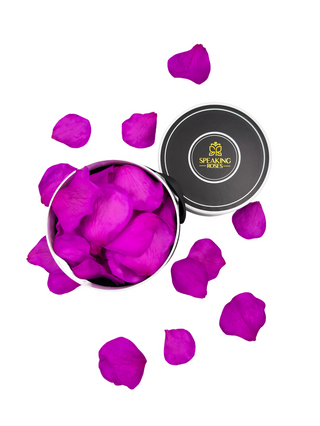 Spec Black Paper Box (100 Preserved Petals)