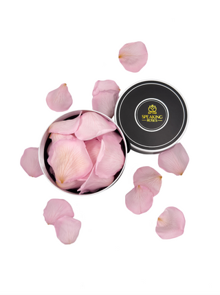 Spec Black Paper Box (100 Preserved Petals)