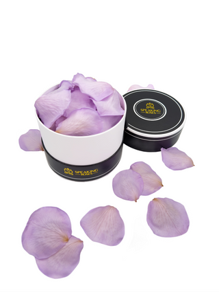Spec Black Paper Box (100 Preserved Petals)