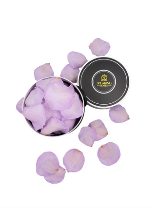 Spec Black Paper Box (100 Preserved Petals)